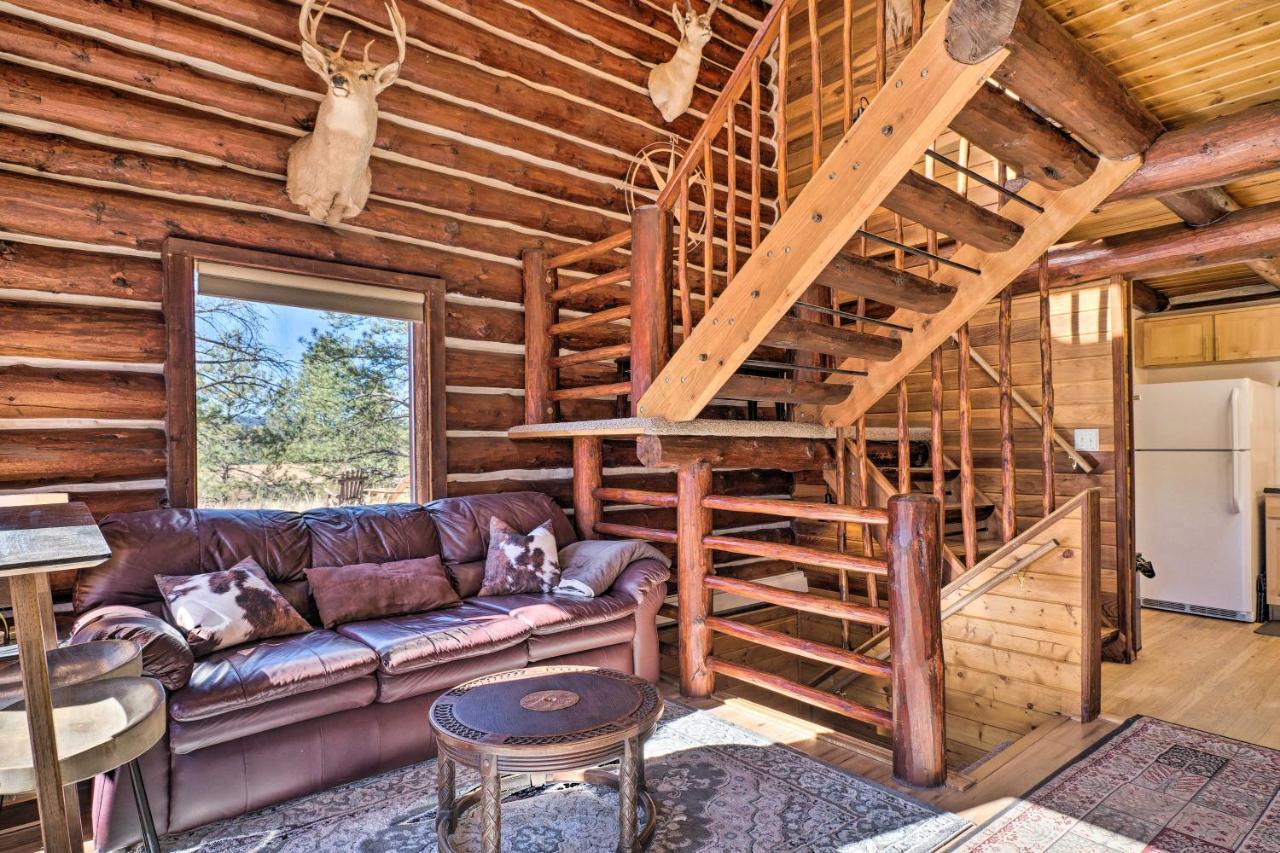 Classic Colorado Log Home With Mountain Views! Florissant 外观 照片